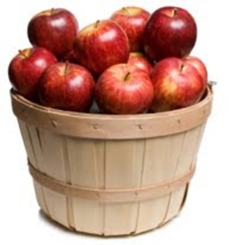 The Book Thief's Theiving Career