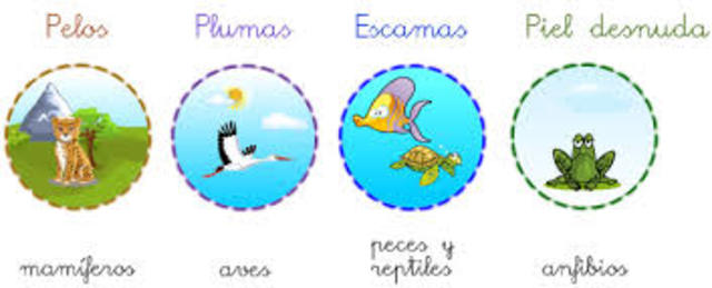 El cuerpo de los animales esta protegido por: