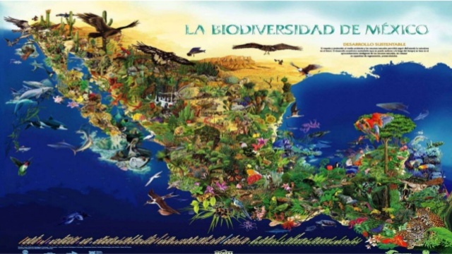 Ley federal del turismo