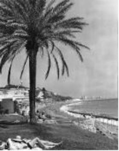 NACEN AGENCIAS DE VIAJES