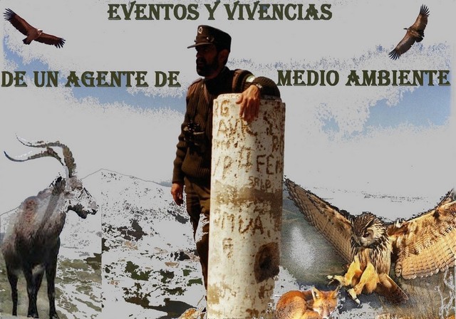 fechas importantes del medio ambiente