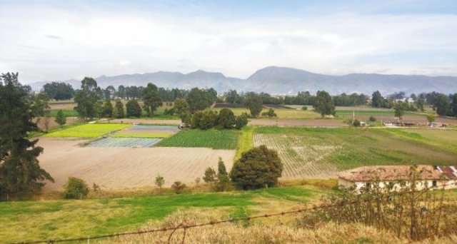 El 2016 ambiental de Colombia