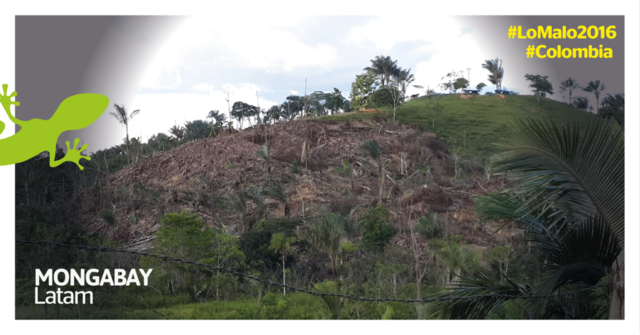 problemas ambientales que deben resolverse en el 2017