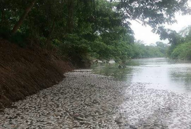 Contaminación ambiental 2018