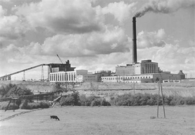 Tarbekaupade hulgitootmine