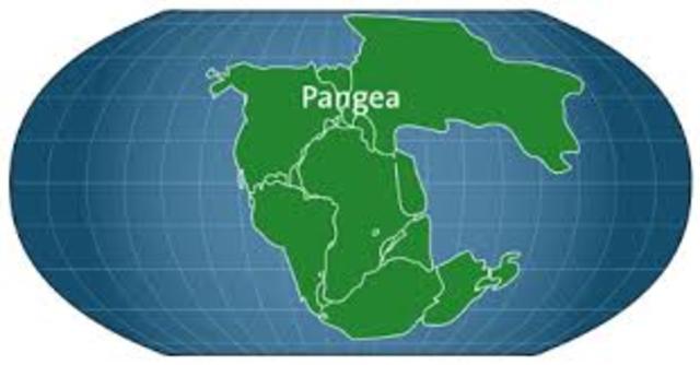 Formación Pangea/Extinción en masa