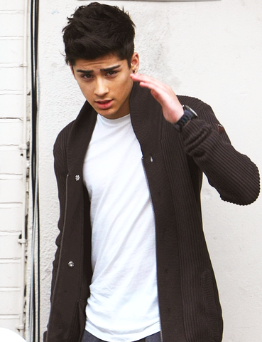 Zayn attends Lower Fields Primary School