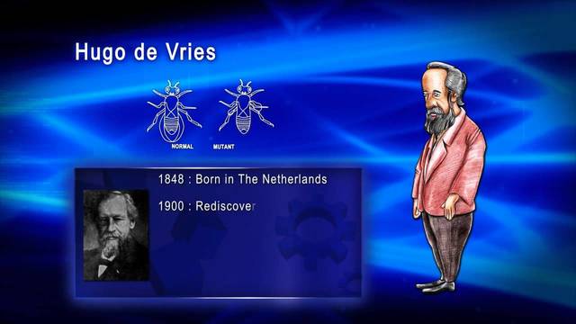 De Vries riprende gli studi di Mendel