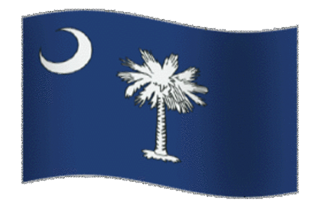 South Carolina Starts Succession