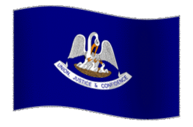 Louisiana Succession