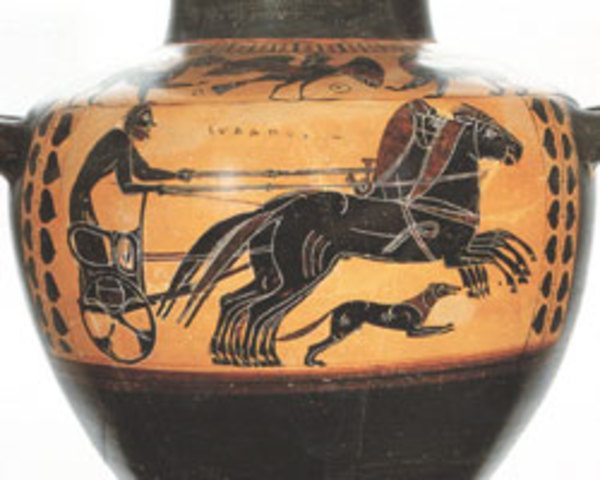 Competencias atleticas