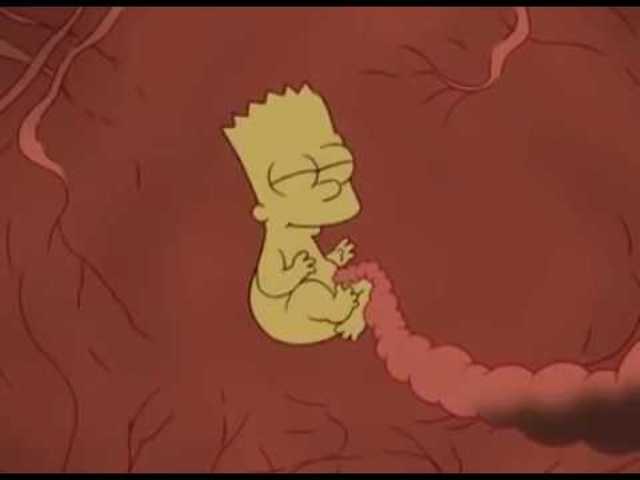 Nacimiento de Sofìa