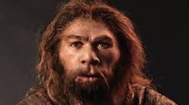 Neandertal