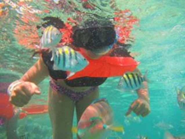 Mi primera vez haciendo SNORKEL en Isla Mujeres