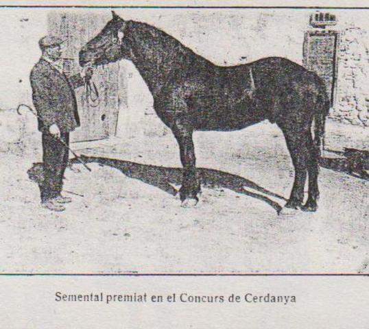 La domesticacio del cavall