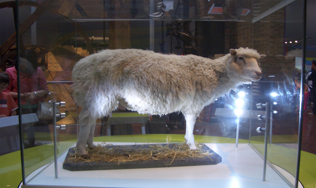 La oveja Dolly
