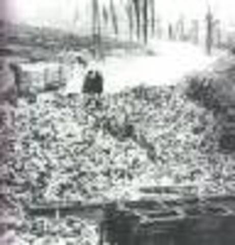 Durante los meses de 1916