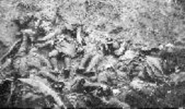 LA GUERRA DE POSICIONES