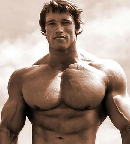 ARNOLD SCHWARZENEGGER