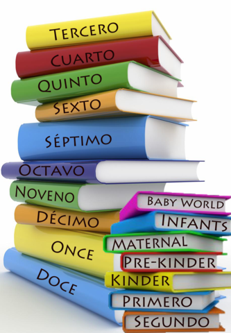 Programación Escolar