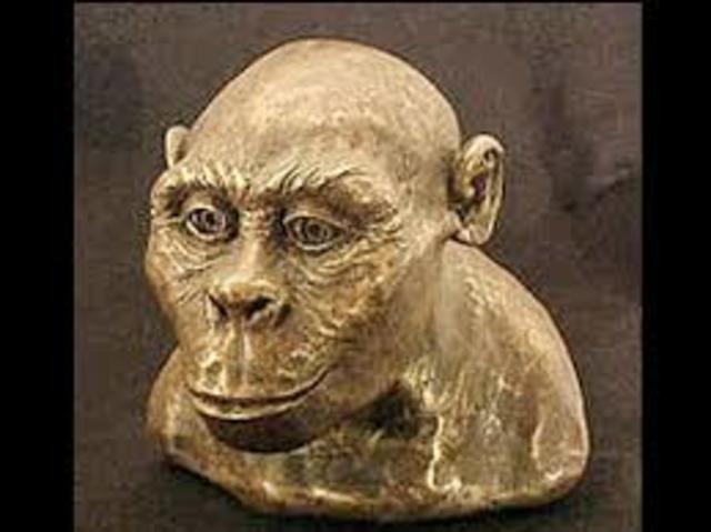 Orrorin tugenensis - 6.000.000 años atrás