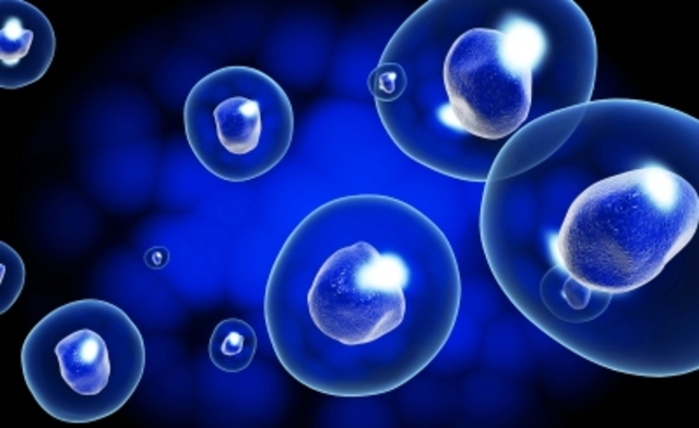 Teoría Endosimbiótica