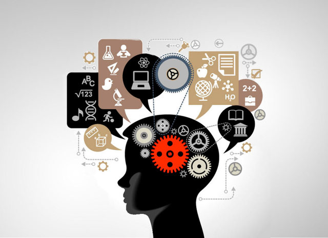 Fines, contenidos, destrezas y métodos de enseñanza.