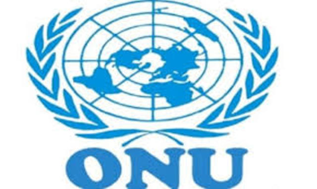 Unión a la ONU