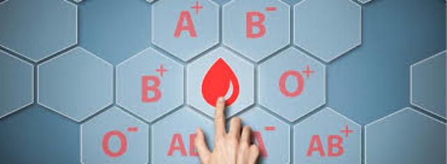 De acordo com Litwin