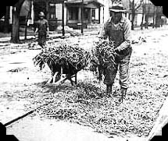 Works Progress Administration (WPA)