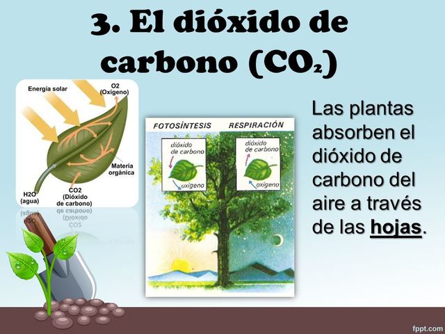 Medico identifica ingrediente nutritivo