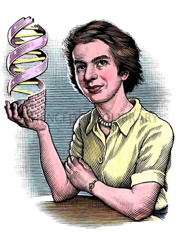 Rosalind Franklin