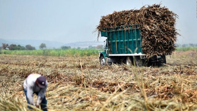 cali-valle del cauca