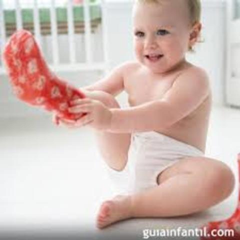 Desarrollo social  1-2 años