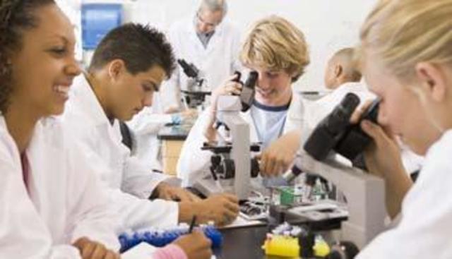 GRUPO DE INVESTIGACION