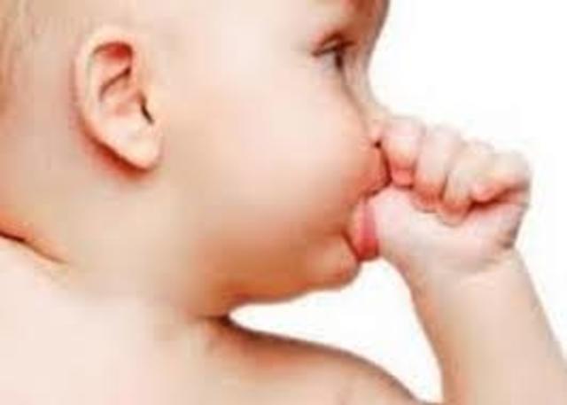 Psicomotor  1-4  meses Reacciones circulares primarias