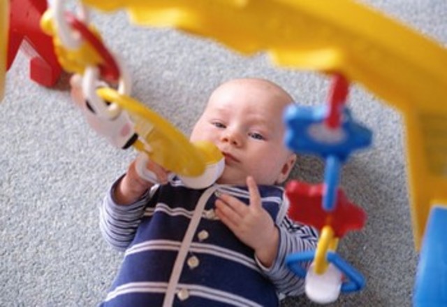 Psicomotor  4-8 meses Reacciones circulares secundarias