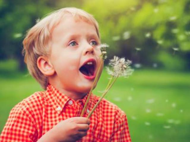 Ambiente escolar 1er año de vida