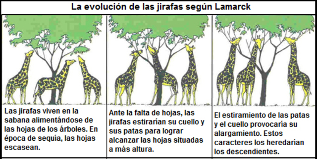 LAMARCK