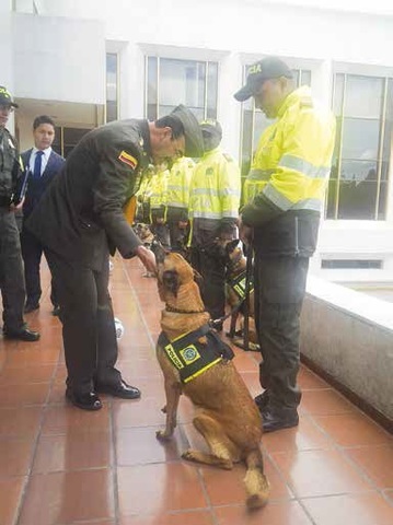 Policia canina