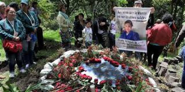 Ley Rosa Elvira Cely