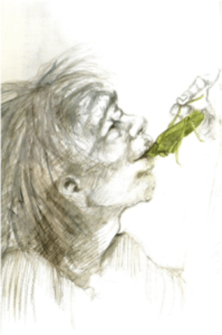 NECESIDAD DEL HOMBRE POR ALIMENTARSE