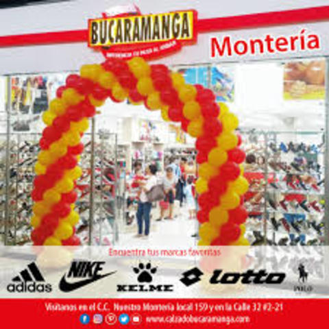 Análisis de la solución