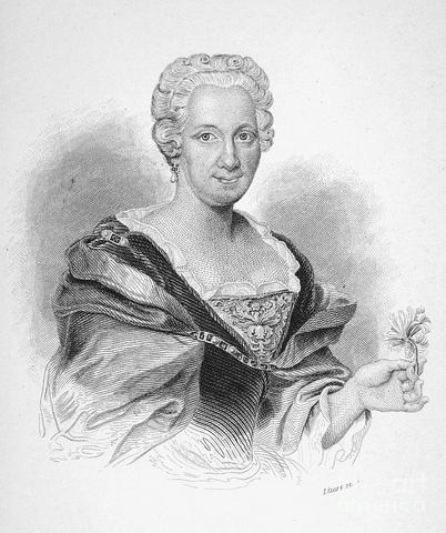 PRIMERA OBRA DE MARIA SIBYLLA