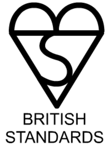 British Standard Institute