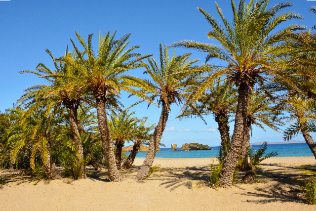 8η Συνάντηση της ομάδας για το θέμα: ΔΑ-SOS, μια τελευταία αναπνοή