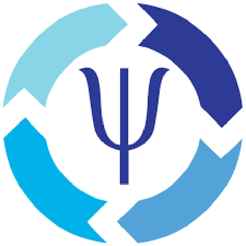 American Psycological Association