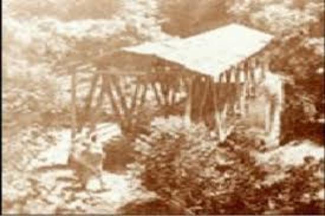 Organización Territorial