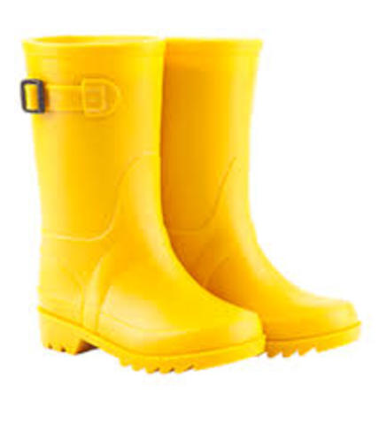 The development of the idea of shoes