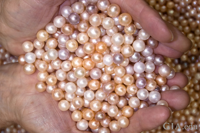 Pearls